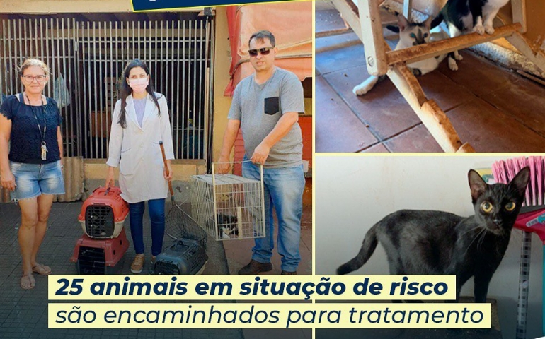 25 ANIMAIS EM SITUAÇÃO DE RISCO SÃO ENCAMINHADOS PARA TRATAMENTO