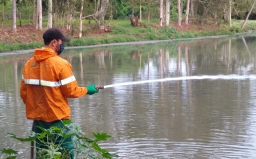 SAE elimina mosquitos e aguapés das lagoas de estabilização do Pardo e Paranapanema